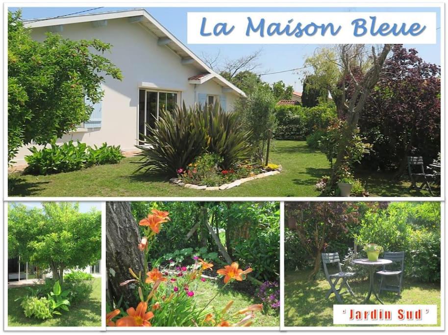 Villa de charme "La Maison Bleue" 4 étoiles Climatisation 12 pers - B&B Gujan-Mestras