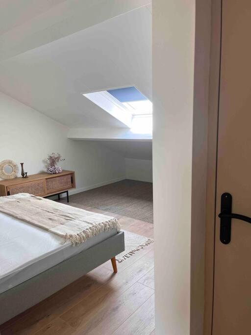 Appartement 1 Chambre