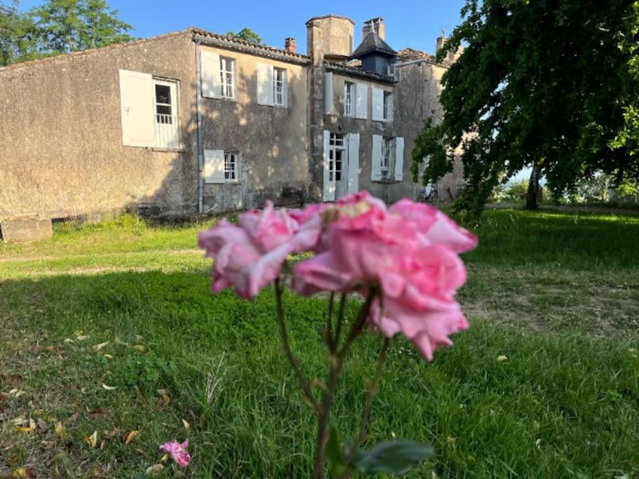 B&B Montagoudin - Le Point du Jour - Bed and Breakfast Montagoudin