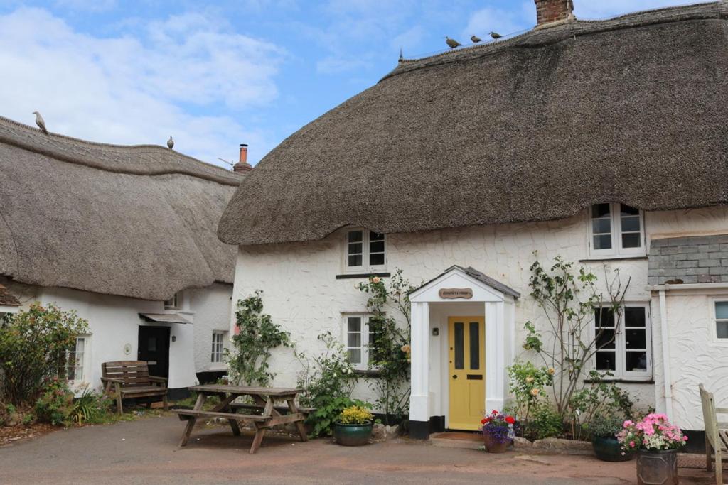 B&B Hope Cove - Rambler Cottage, a delightful cottage, Hope Cove, South Devon a stones throw from the beach - Bed and Breakfast Hope Cove