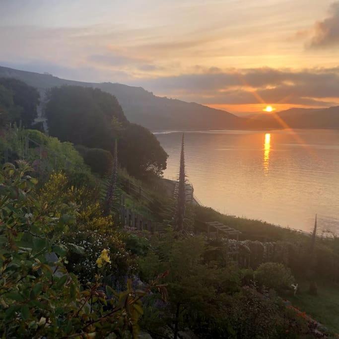 Lyme Clifftop Hideaway - B&B