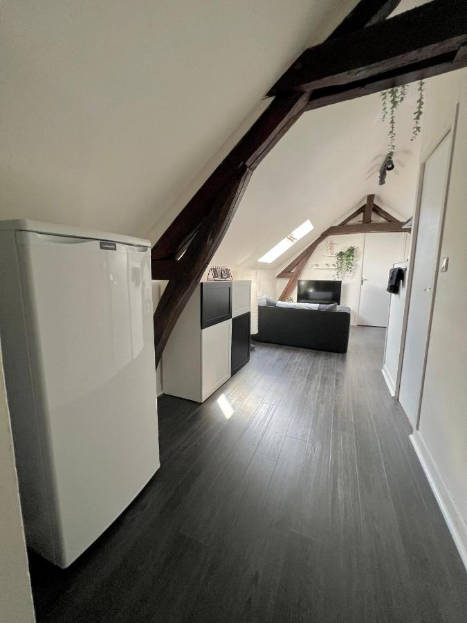 Bel appartement lumineux 35m2, Bord De Loire - B&B