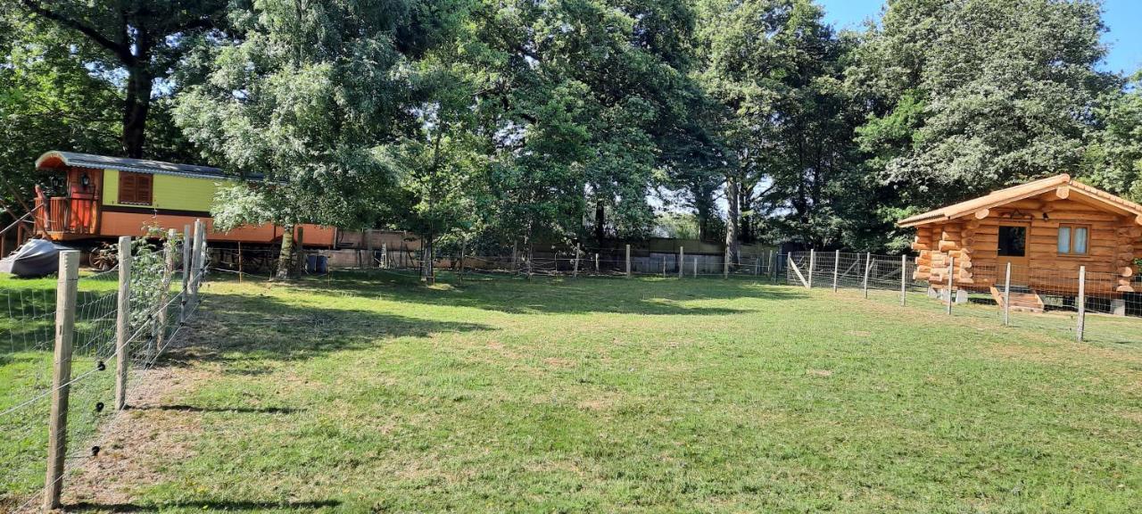 Chalet du trappeur - B&B Grosbreuil