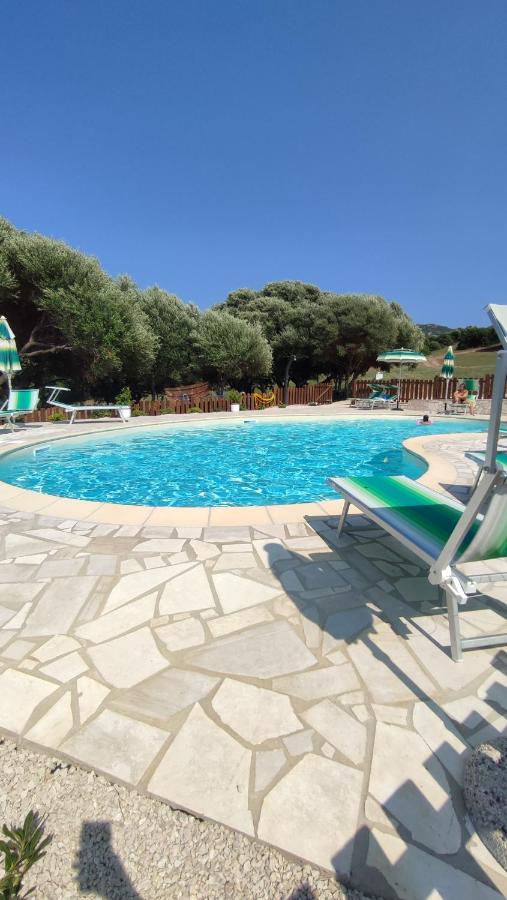 agriturismo gli olivastri appartamento corbezzolo con piscina e vista mare,climatizzatore,wifi - Chambres d'hôtes Aglientu