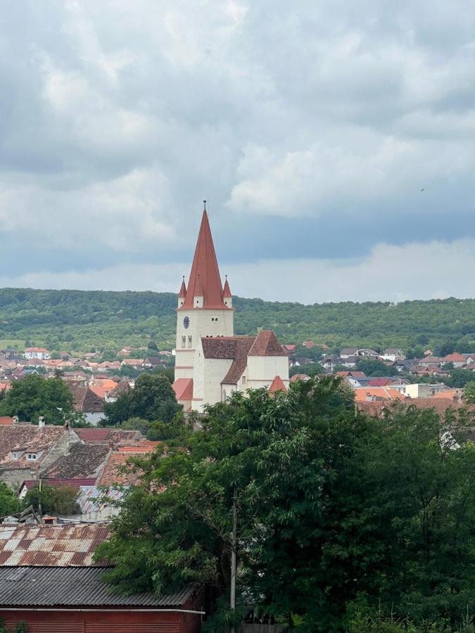 Ovidius apartament - B&B