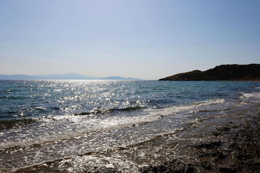 Το σπίτι δίπλα στη θάλασσα / The house by the sea - Ferienwohnung Rafína
