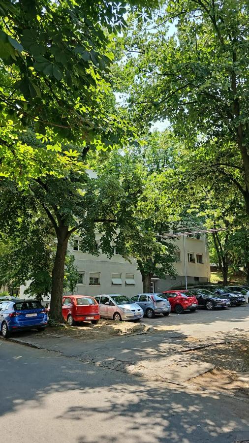Apartman Maja - Chambres d'hôtes Belgrade