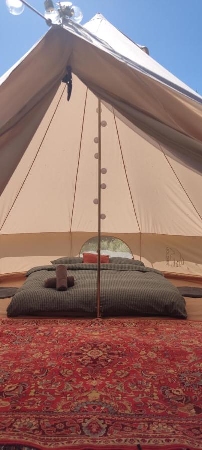 Tent 2