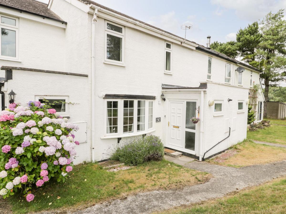 B&B Porthmadog - Pinecones - Bed and Breakfast Porthmadog