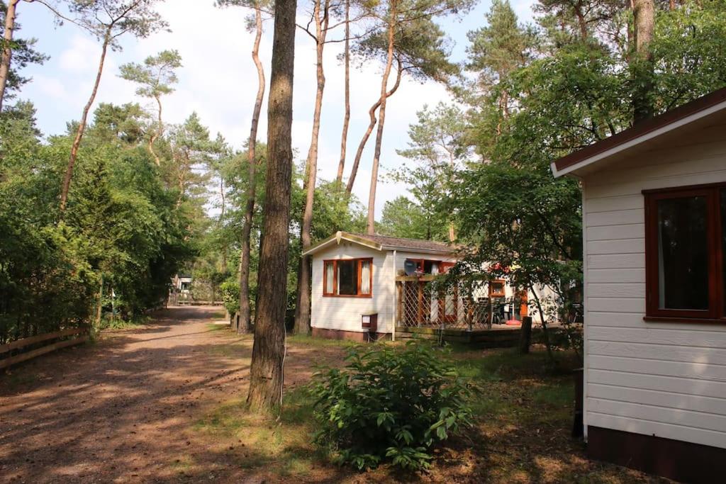 B&B Doornspijk - Chalet op de Veluwe - Bed and Breakfast Doornspijk