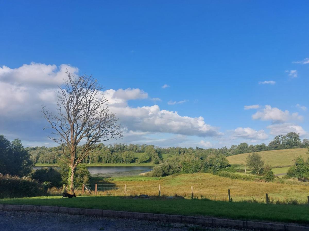 Molly's Self Catering Accommodation - B&B Cavan