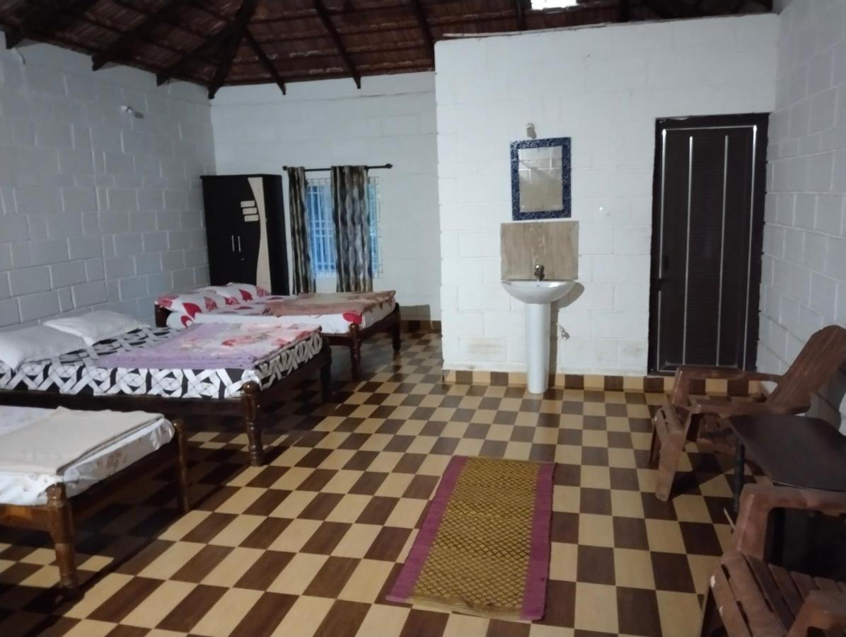 Habitación Compartida Mixta de 6 camas