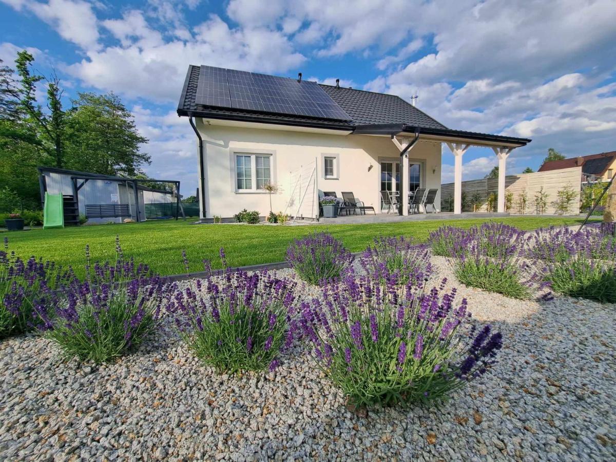 Lawendowy Zakątek Pod Śnieżką - B&B Miłków