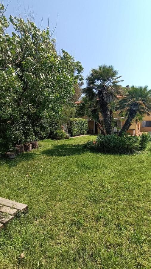 Villa Teresa sul mare - Chambres d’hôtes Castelsardo
