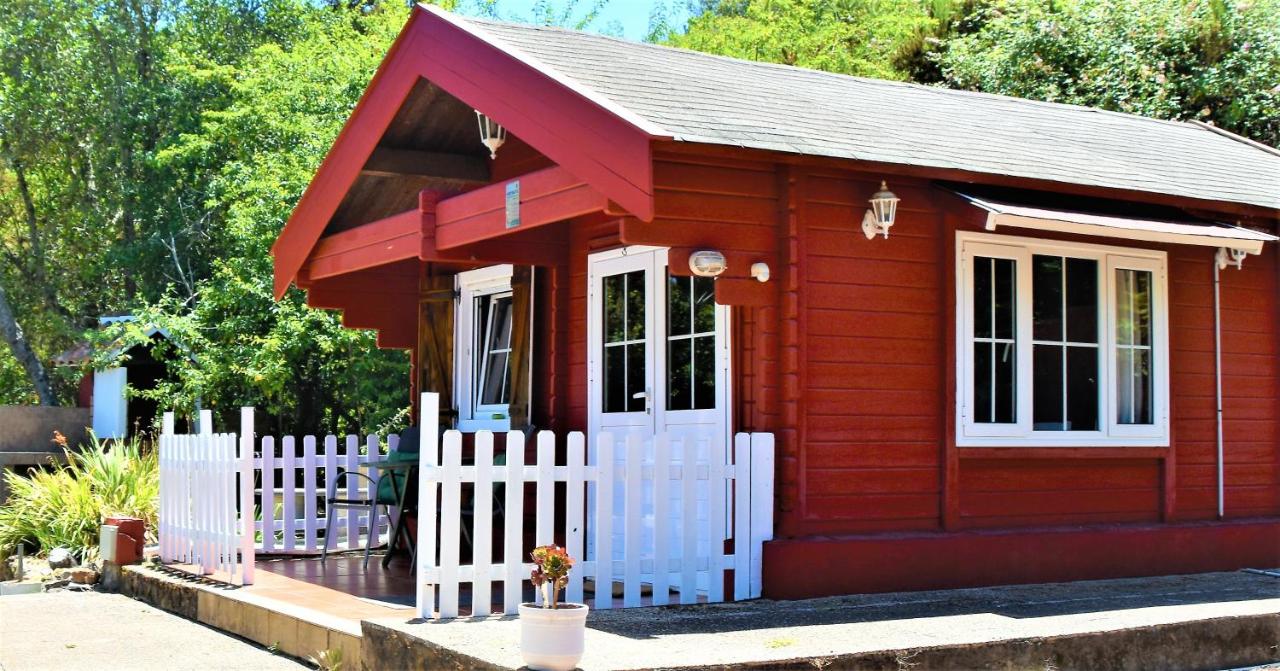 One-Bedroom House with Barbecue