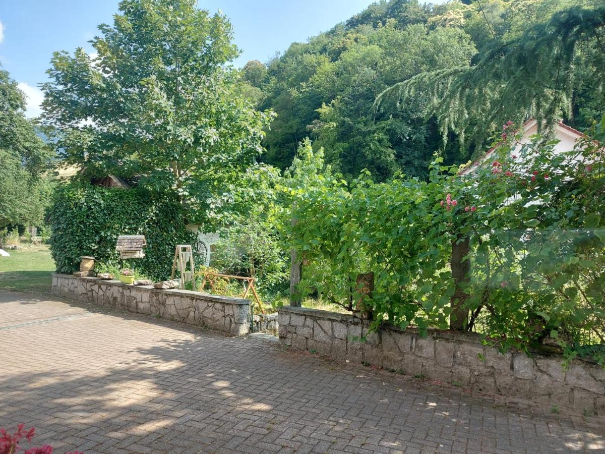 Ferienwohnung am Bächle - B&B Münstertal/Schwarzwald