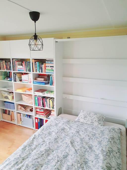 Oslo - Quiet and cosy home with cat and garden - Chambres d’hôtes