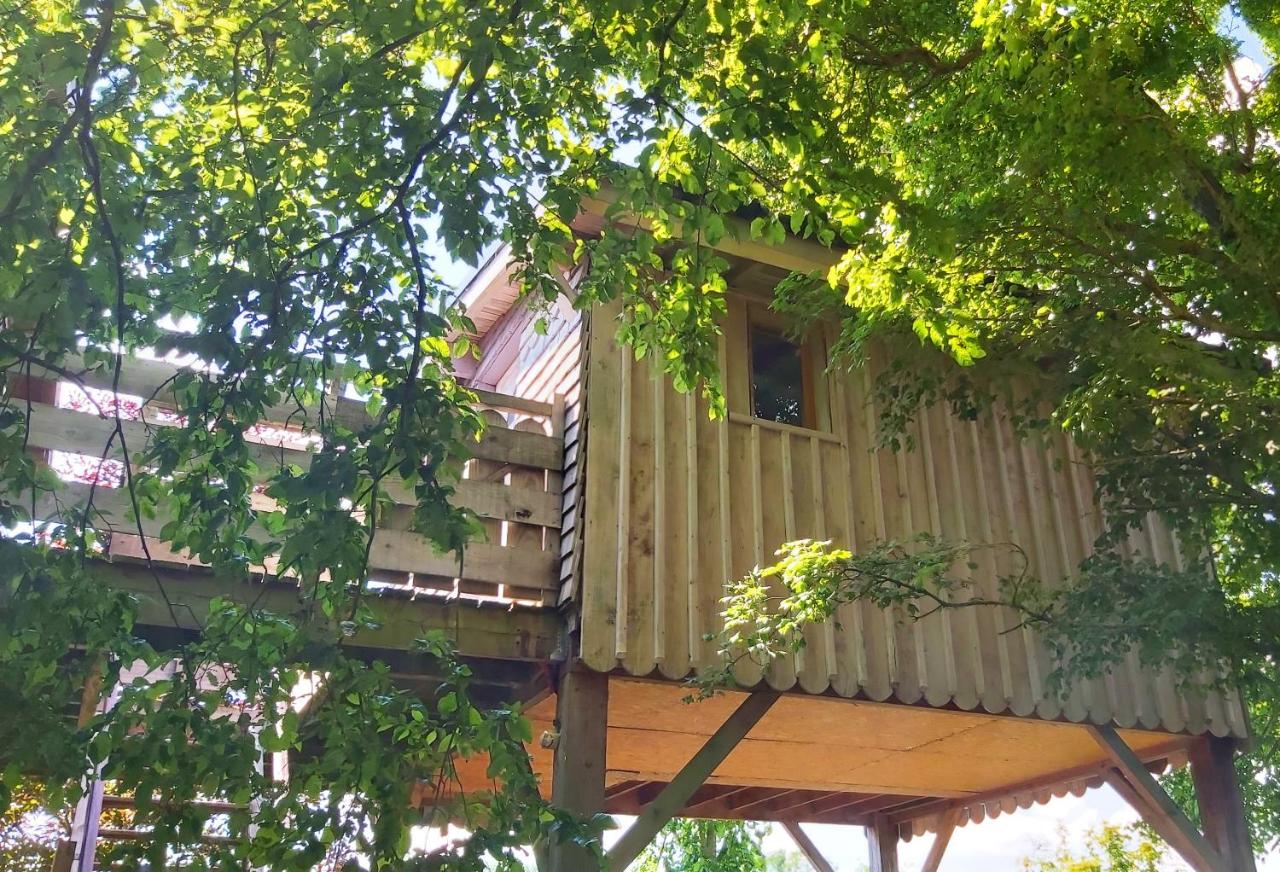 Casa sull'Albero - L'Ourson Blanc