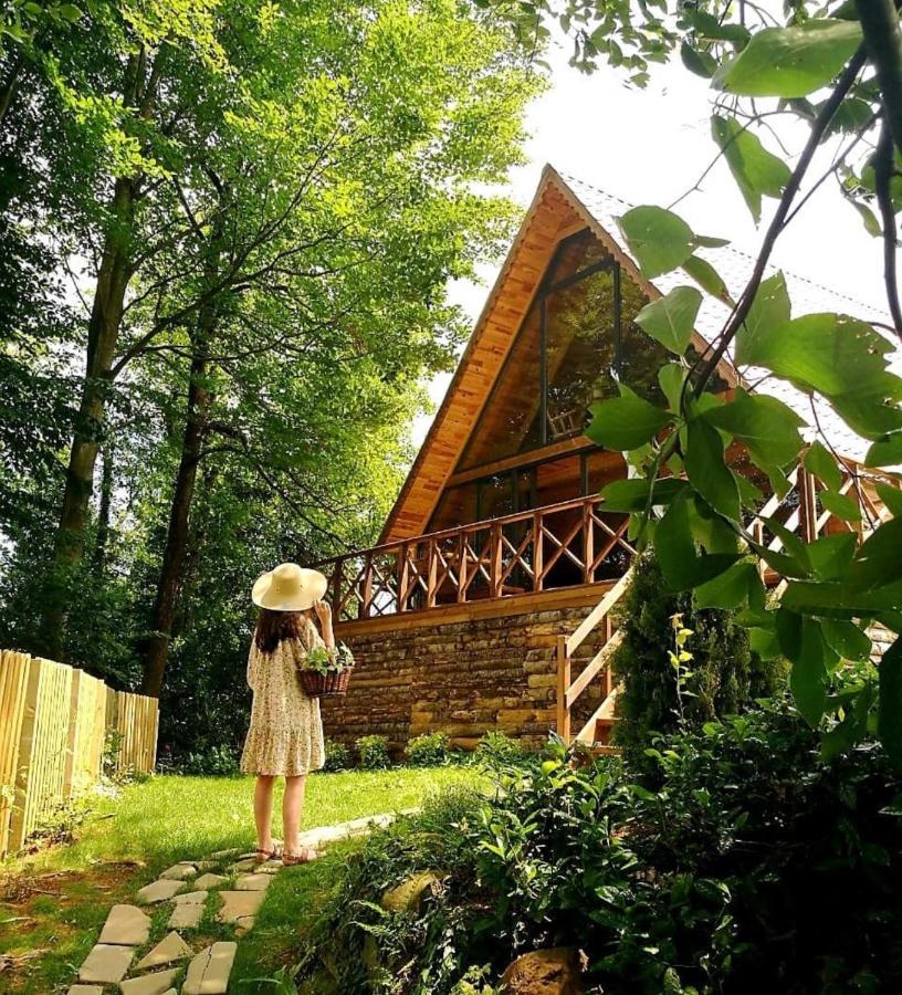 B&B Rize - bungalov - Bed and Breakfast Rize