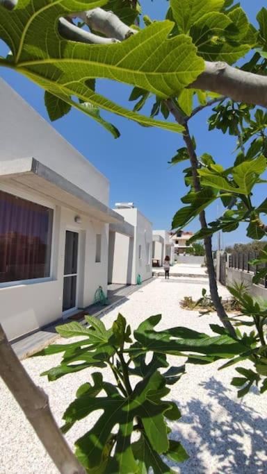 sun kiss houses - Bed and Breakfast Áyios Spirídhon