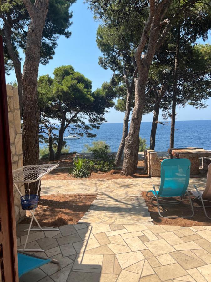 Apartman Zlatan - B&B Sveta Nedelja