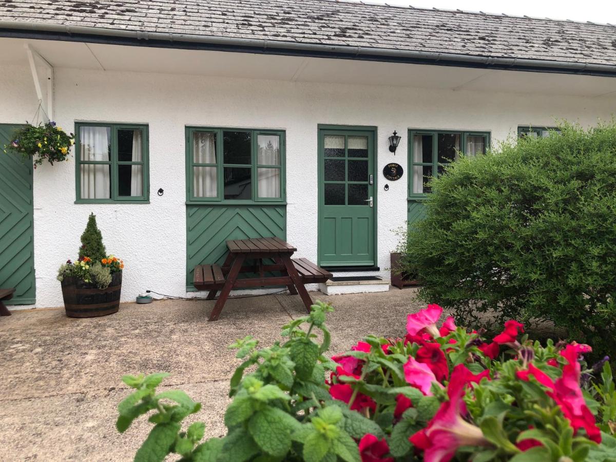 Apartment - Erdgeschoss