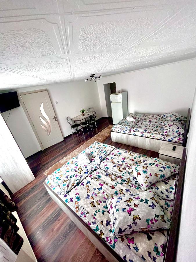 Family Studio