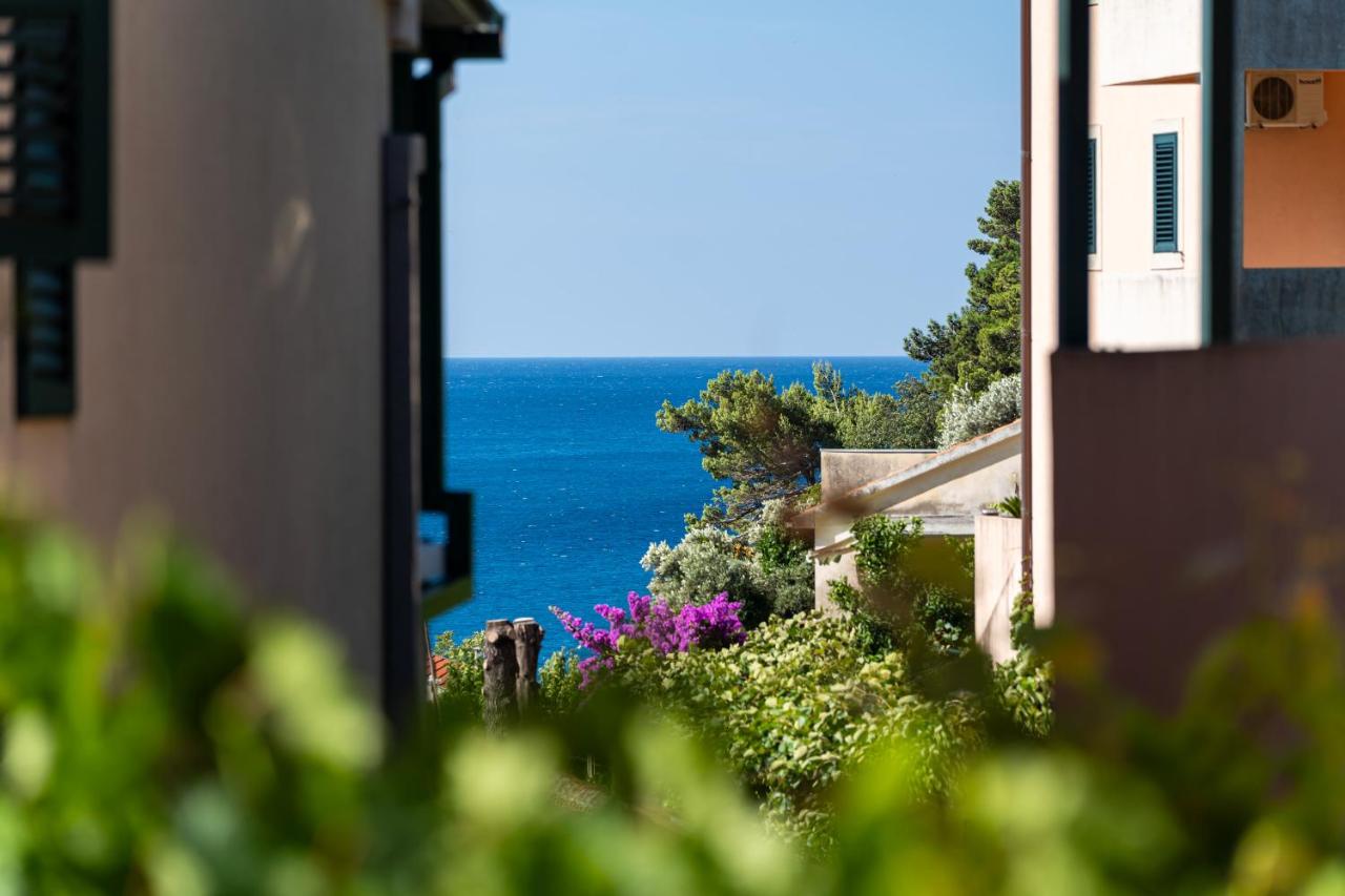 B&B Petrovac na Moru - Petrovac Holiday Apartments 2 - Bed and Breakfast Petrovac na Moru