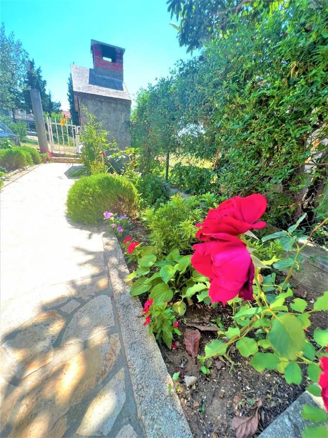 Apartments Višić - B&B Karin
