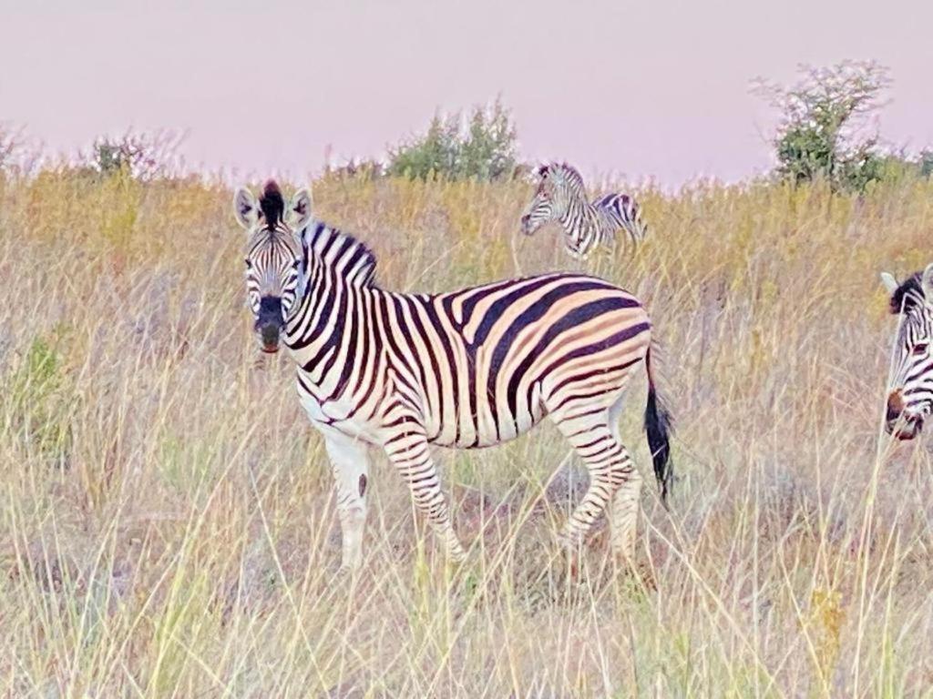 Camera Familiare con Doccia