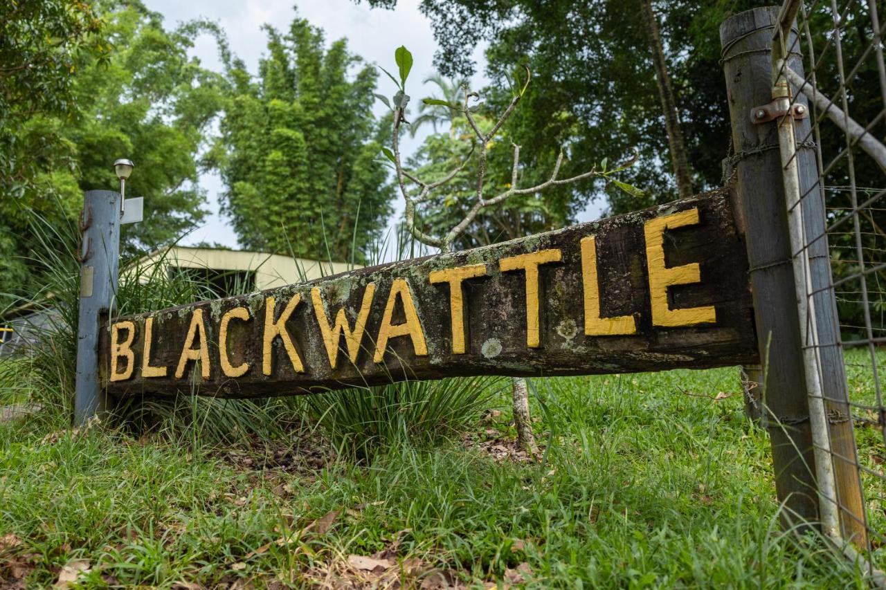 B&B Beerwah - Blackwattle Farm - Bed and Breakfast Beerwah