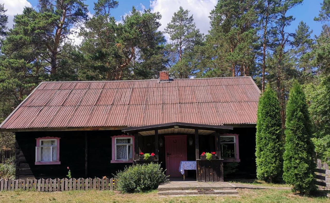 B&B Druskininkai - Sena Troba - Bed and Breakfast Druskininkai