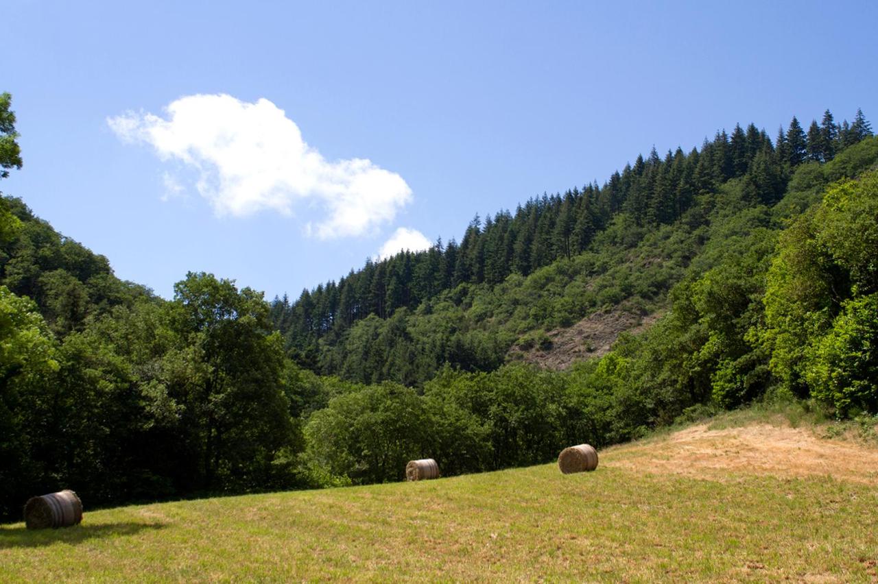 Auberge de Lascours - B&B Ceilhes