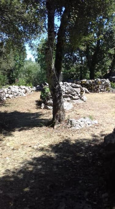 Villa con 3 Camere da Letto