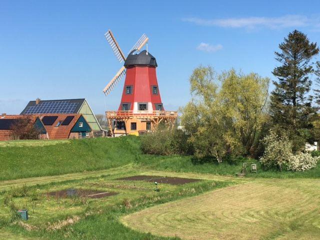 B&B Beidenfleth - Ferienhaus Mühle "Neue Hoffnung" - Bed and Breakfast Beidenfleth