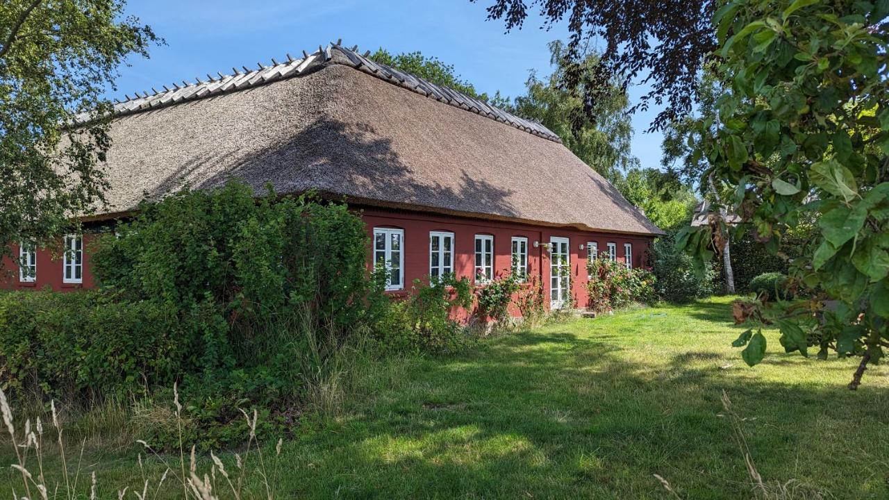 Under Valnødden - B&B