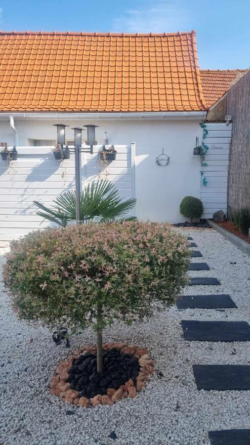 Studio avec jacuzzi , terrasse amenagée et wifi à Westrehem - Ferienwohnung
