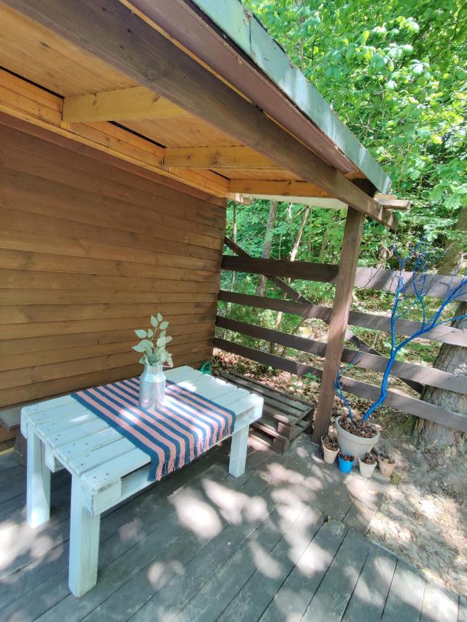 Mały Domeczek - Bed and Breakfast Sulęczyno