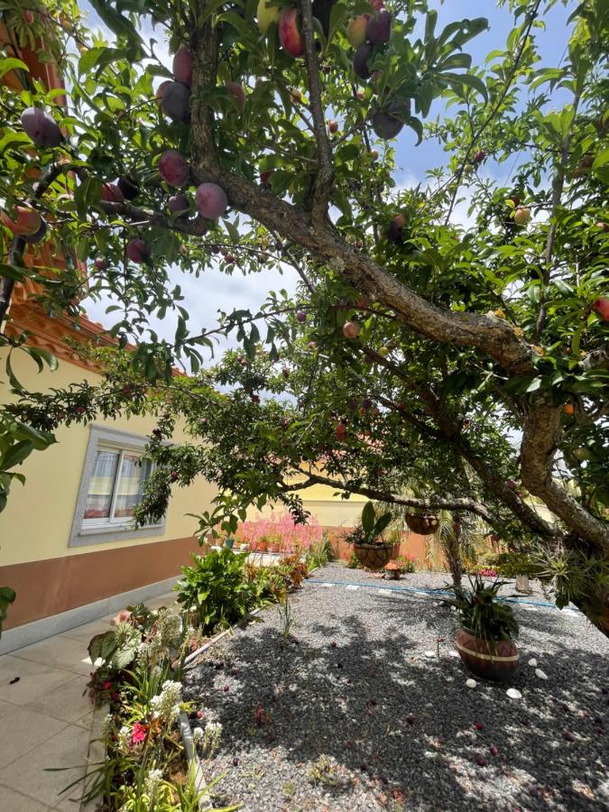 Belle Vue - B&B São Jorge