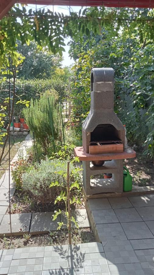 Doppelzimmer mit Terrasse