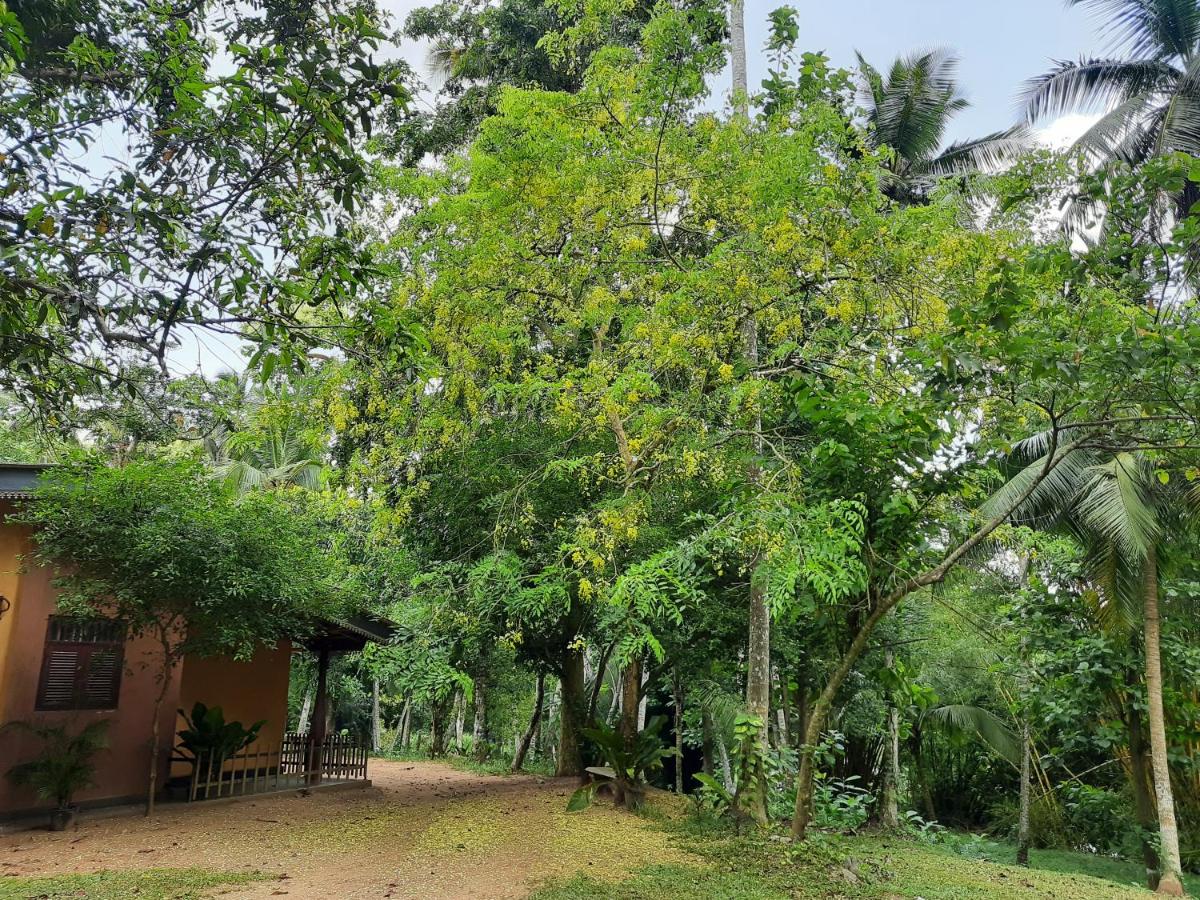 Nature's Hideout Holiday Home - B&B