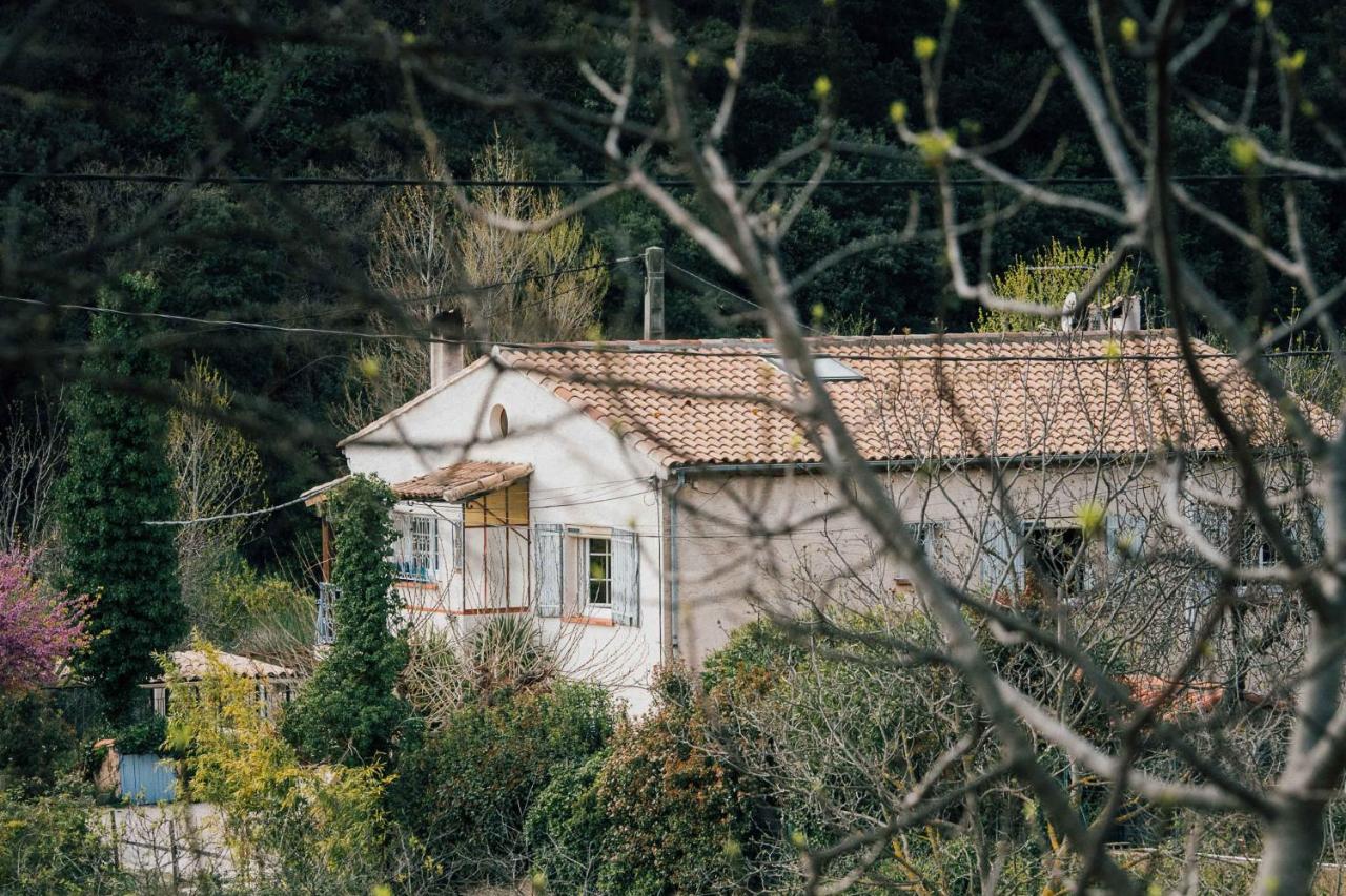 Maison d'hôtes éco-responsable avec piscine 6X12m LIRE L'ANNONCE VOTRE HÔTE SVP - B&B Châteaudouble