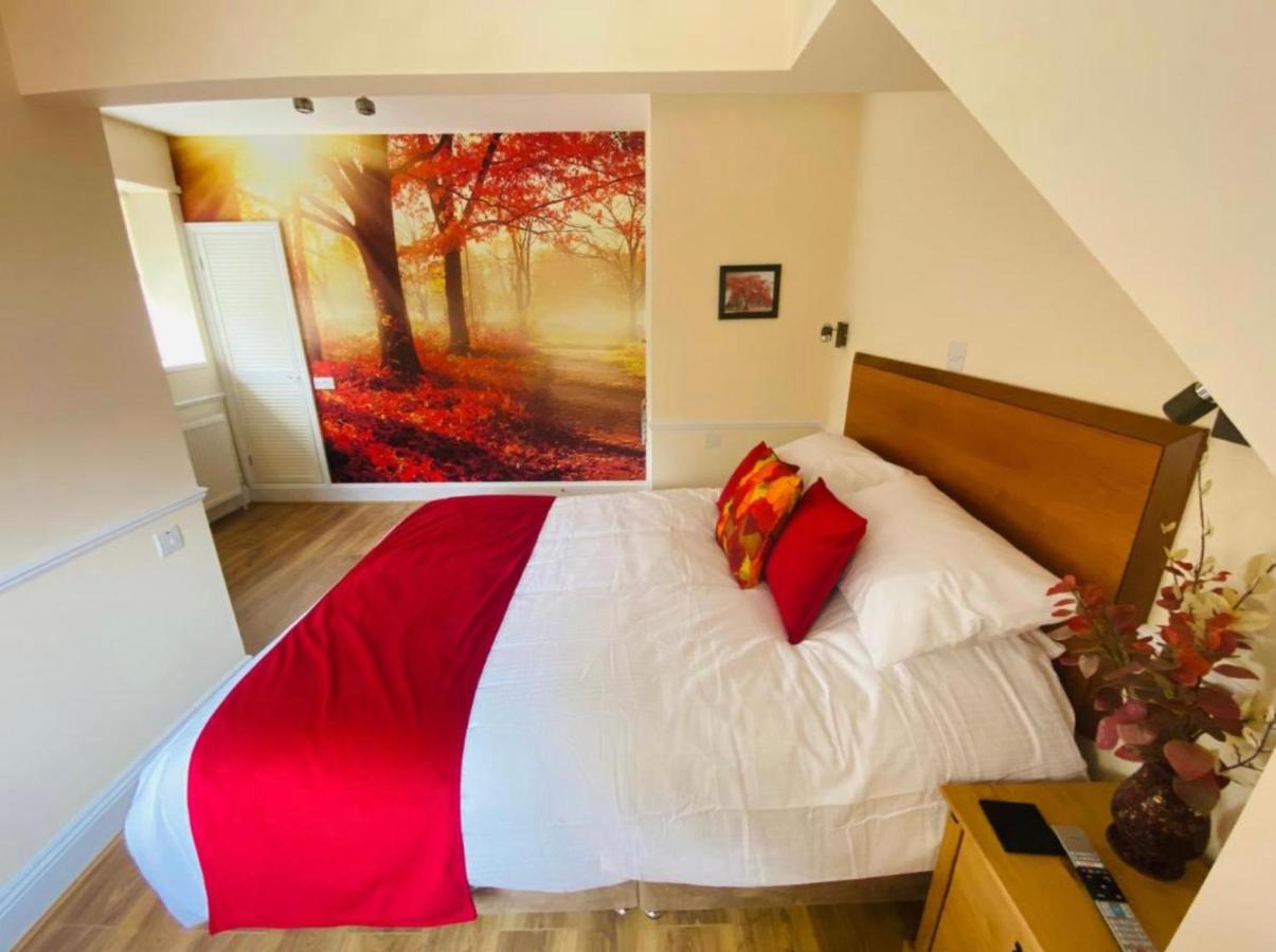 King Room with Garden View