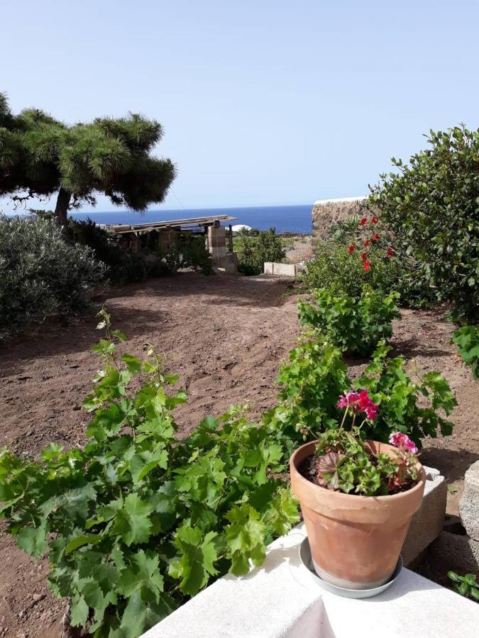 B&B Pantelleria - La casa di Antonia - Bed and Breakfast Pantelleria