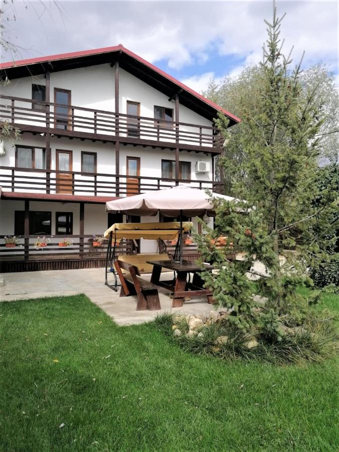 B&B Călăraşi - Casa Carp Calarasi - Bed and Breakfast Călăraşi