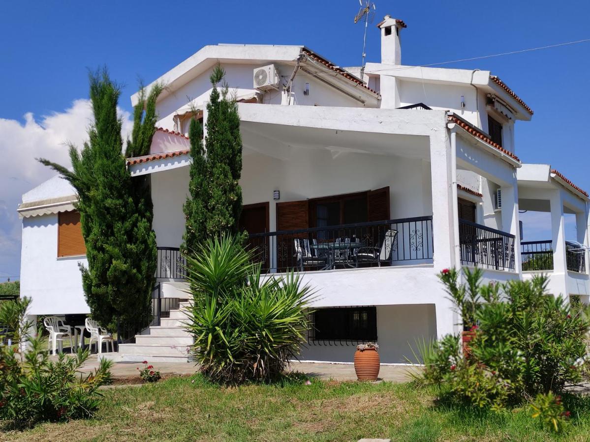 Gaia Olives Villa - B&B