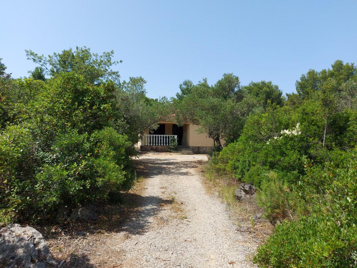 Kuća za odmor TONI - B&B Zaglav