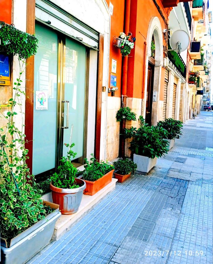 The Nest of Envy - B&B Bari