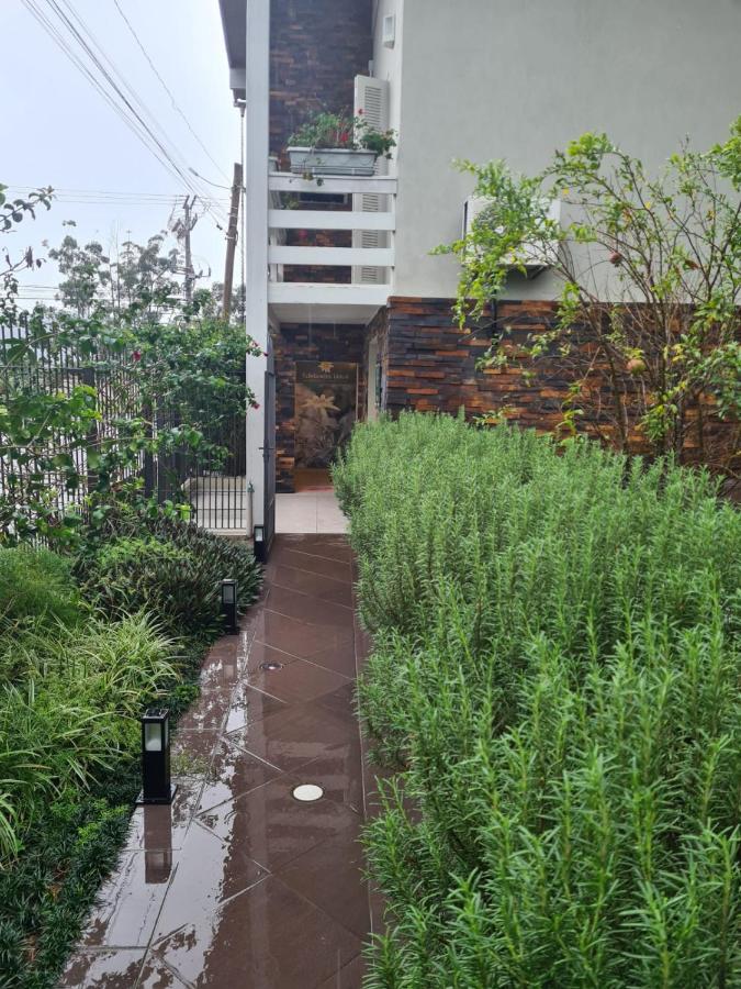 Edelweiss Haus - B&B Feliz