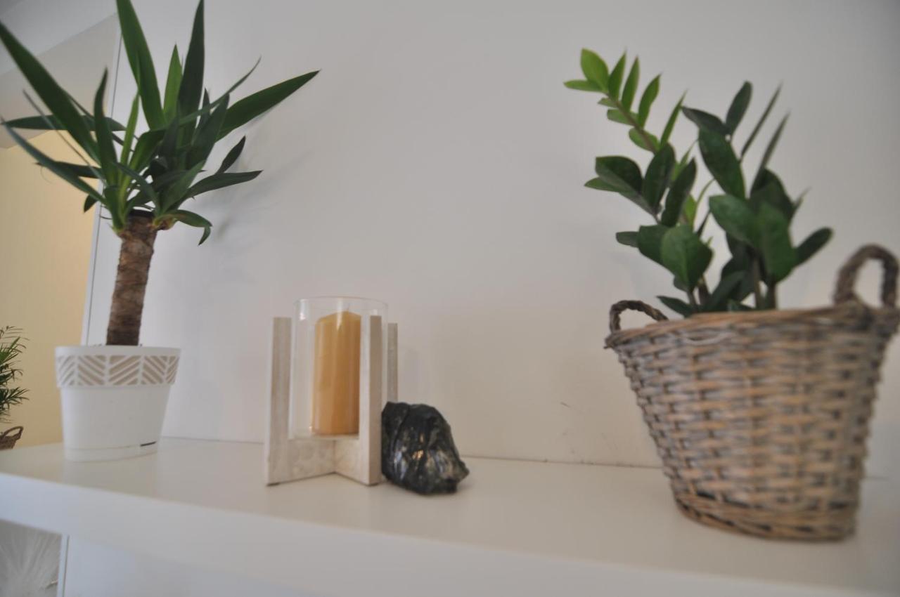 Charming studio near downtown - B&B